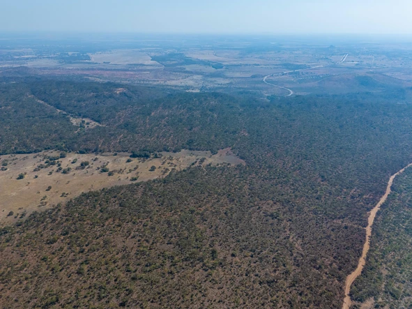 Farm & Agricultural Land