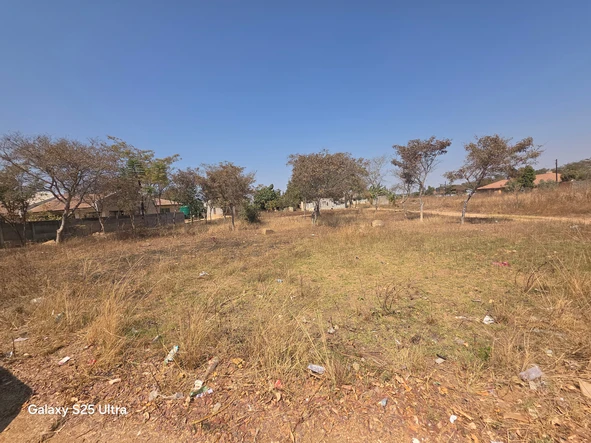Stands & Residential Land