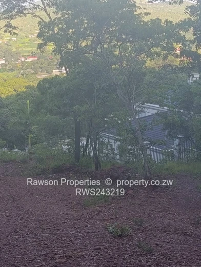 Build your dream home