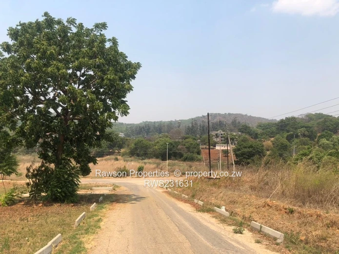 Build Your Dream Home