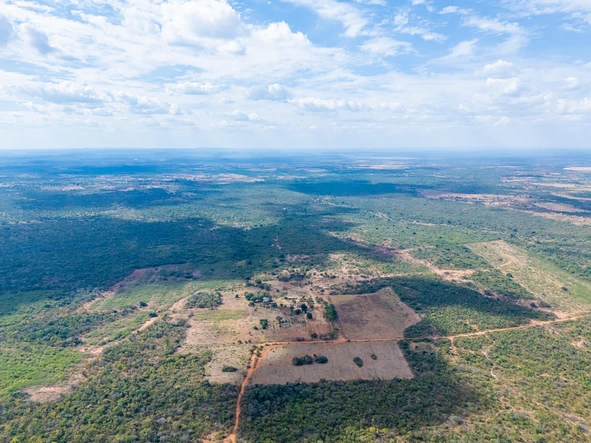Farm & Agricultural Land