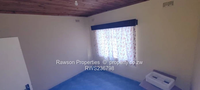 Investment opportunity 