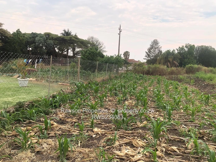 Excellent Opportunity 