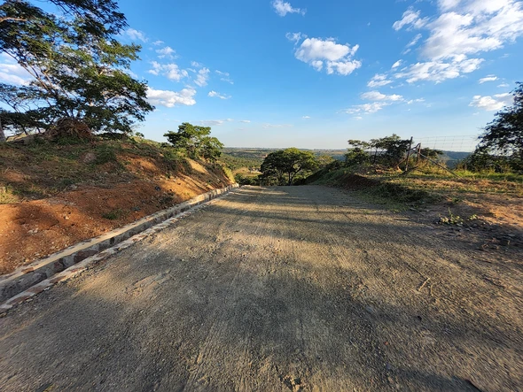 Fully Developed Stand in an Exclusive Community