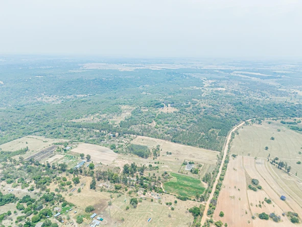 Farm & Agricultural Land