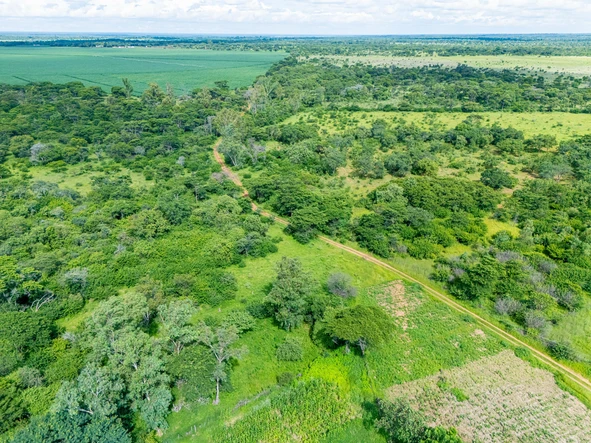 Farm & Agricultural Land