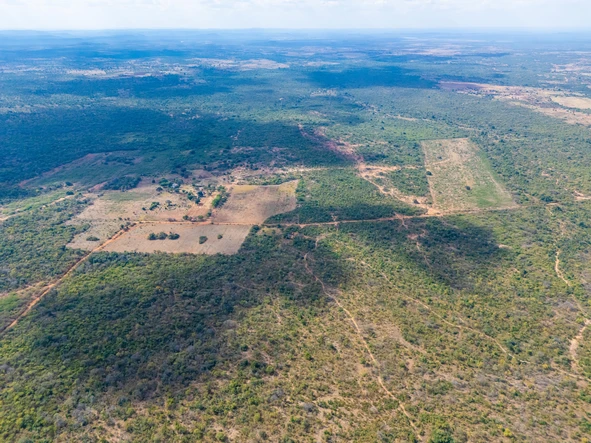 Farm & Agricultural Land