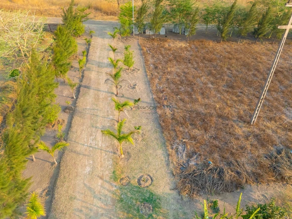 Farm & Agricultural Land