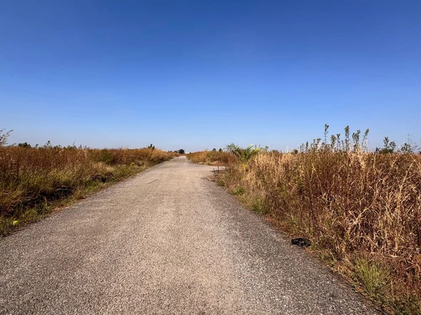 Commercial & Industrial Land