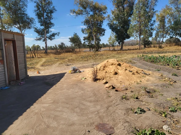 Farm & Agricultural Land