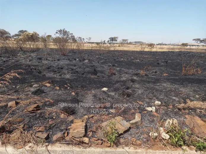 Fairview (Westgate) Stands for sale. 