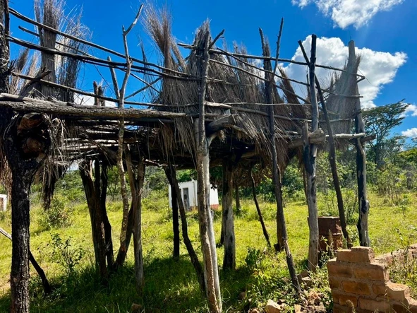 Farm & Agricultural Land