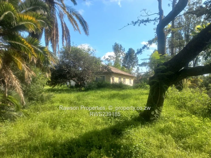 Hatfield ( ParkMeadowlands) House For Sale (Sole Mandate)