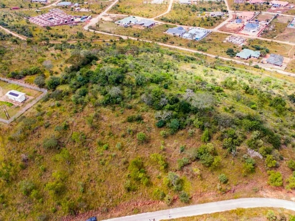 Commercial & Industrial Land