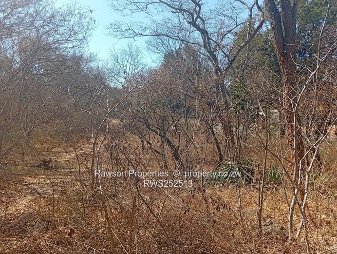 Prime Land in the Golden Triangle 
