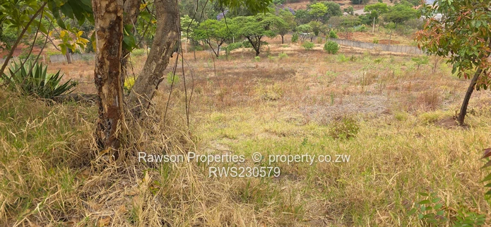 Superb opportunity in Philadelphia 