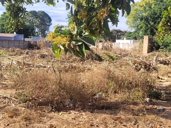 Fairview Vacant Stand