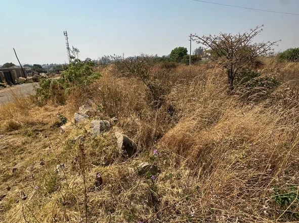 Commercial & Industrial Land