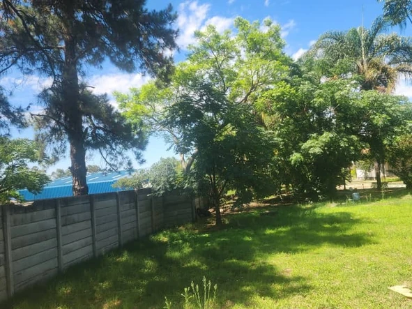 Shop & Retail Property