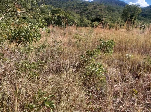 Mutare Land For Sale