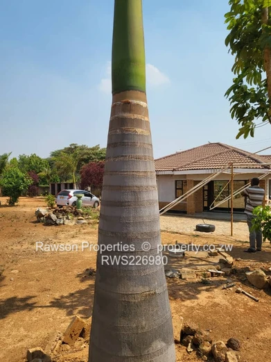 Manresa stand with a cottage