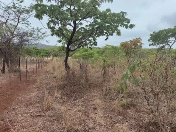 Farm & Agricultural Land
