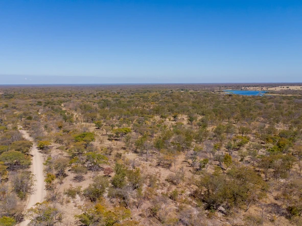 Farm & Agricultural Land