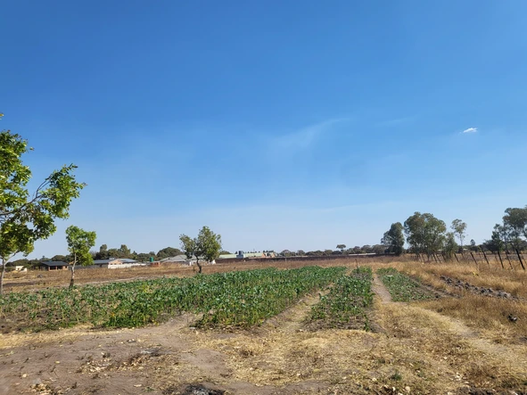 Farm & Agricultural Land