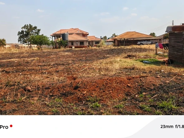 Stands & Residential Land