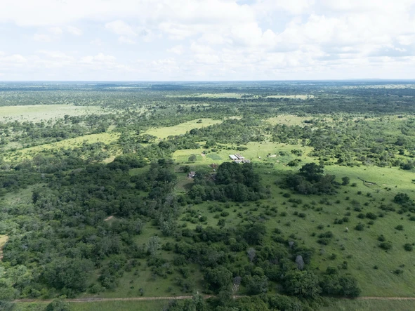 Farm & Agricultural Land