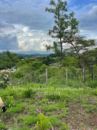 Prime Corner Stand for Sale 