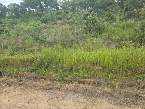 Farm & Agricultural Land