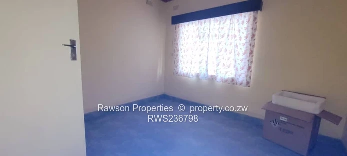 Investment opportunity 