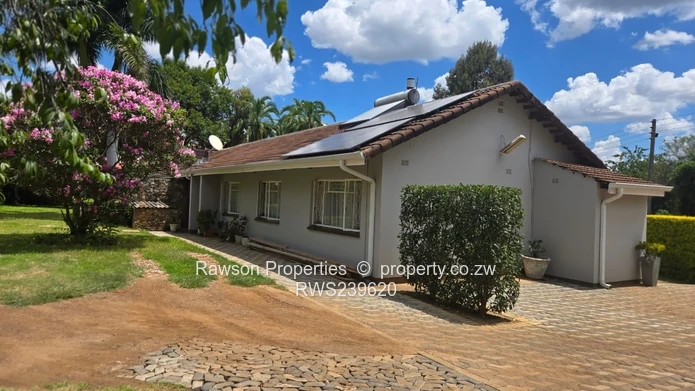 New Mandate - Vainona Gem