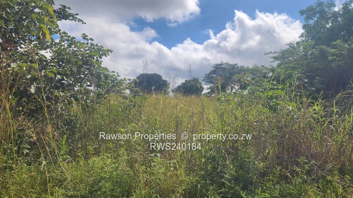 Subdivision  4.2 hectares pegged , road done  fully serviced  ideal for.all.farming activities 