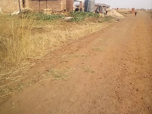 Stands & Residential Land