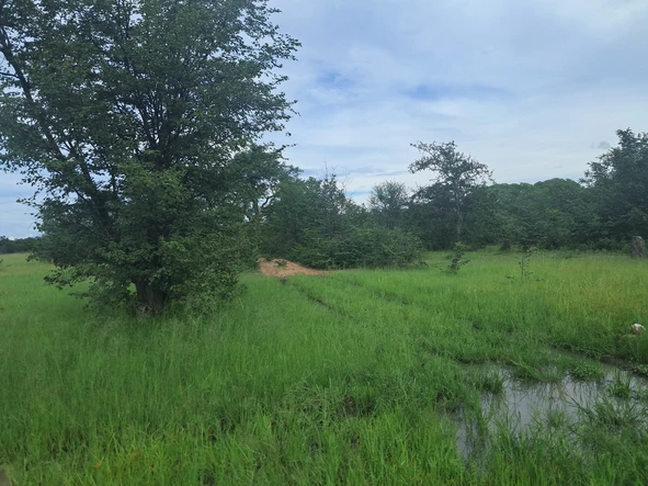 Farm & Agricultural Land