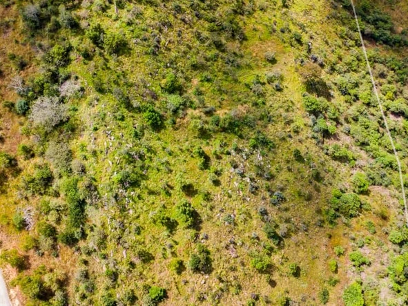 Commercial & Industrial Land