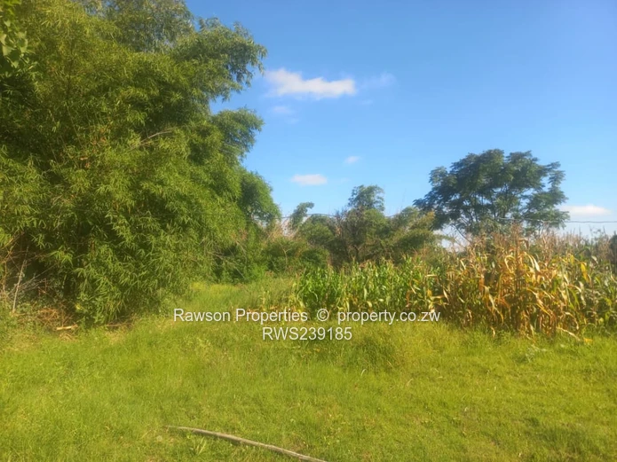 Hatfield ( ParkMeadowlands) House For Sale (Sole Mandate)