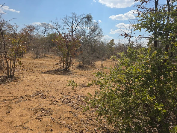 Farm & Agricultural Land