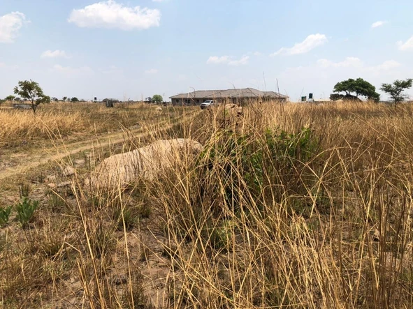 Farm & Agricultural Land