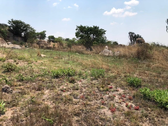 Farm & Agricultural Land
