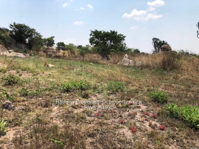 Agro residenial plot  (Sole Mandate)