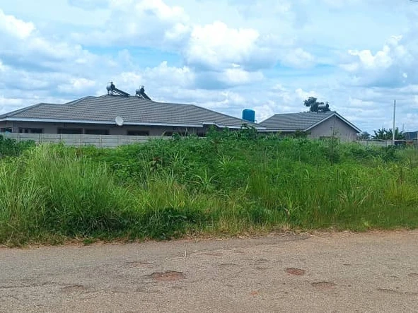 Stands & Residential Land