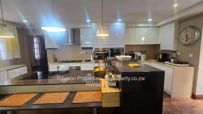 Investment Opportunity 