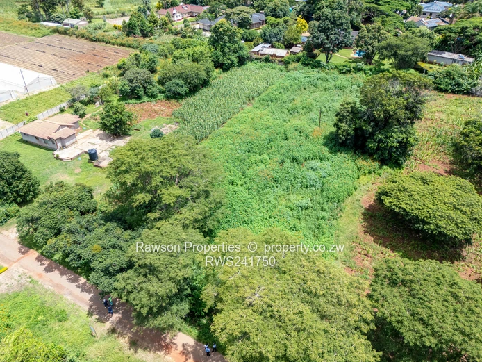 Don't miss out this gem!