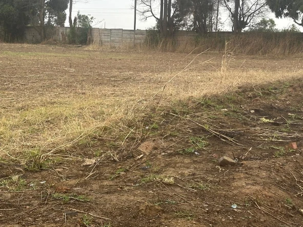 Stands & Residential Land