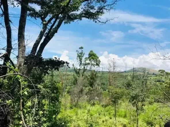 Farm & Agricultural Land