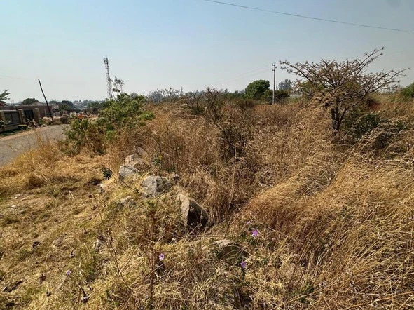 Commercial & Industrial Land