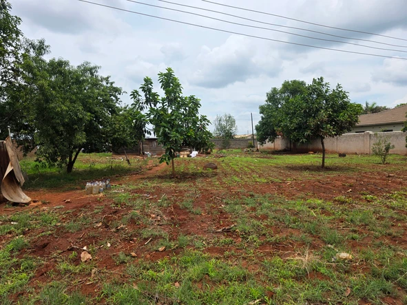 Stands & Residential Land